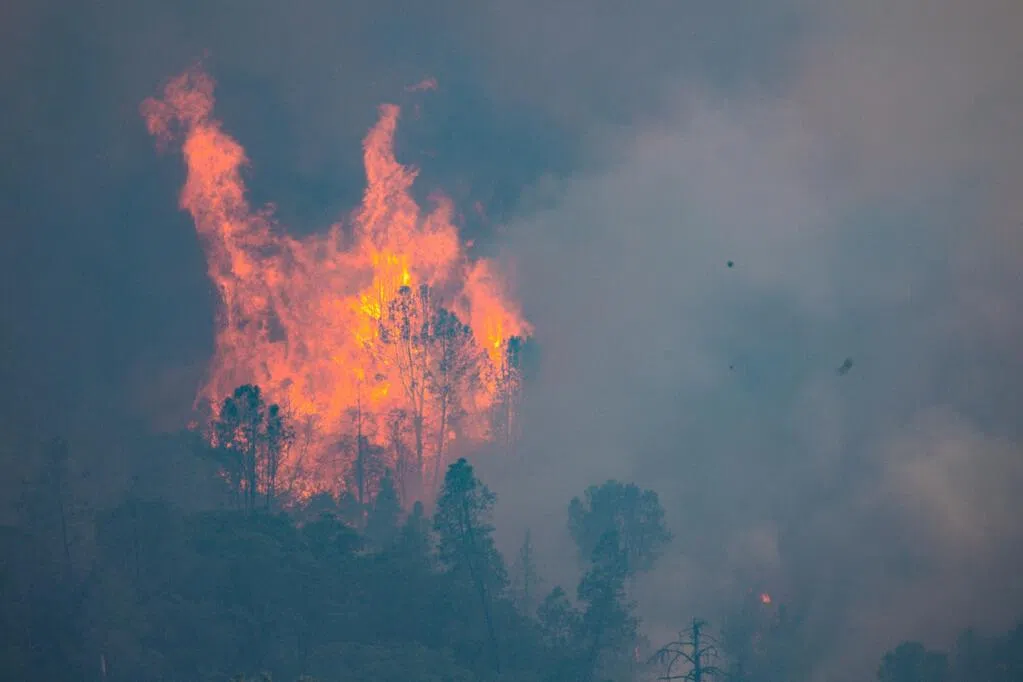Air pollution in India's capital is more than ten times higher than WHO standards