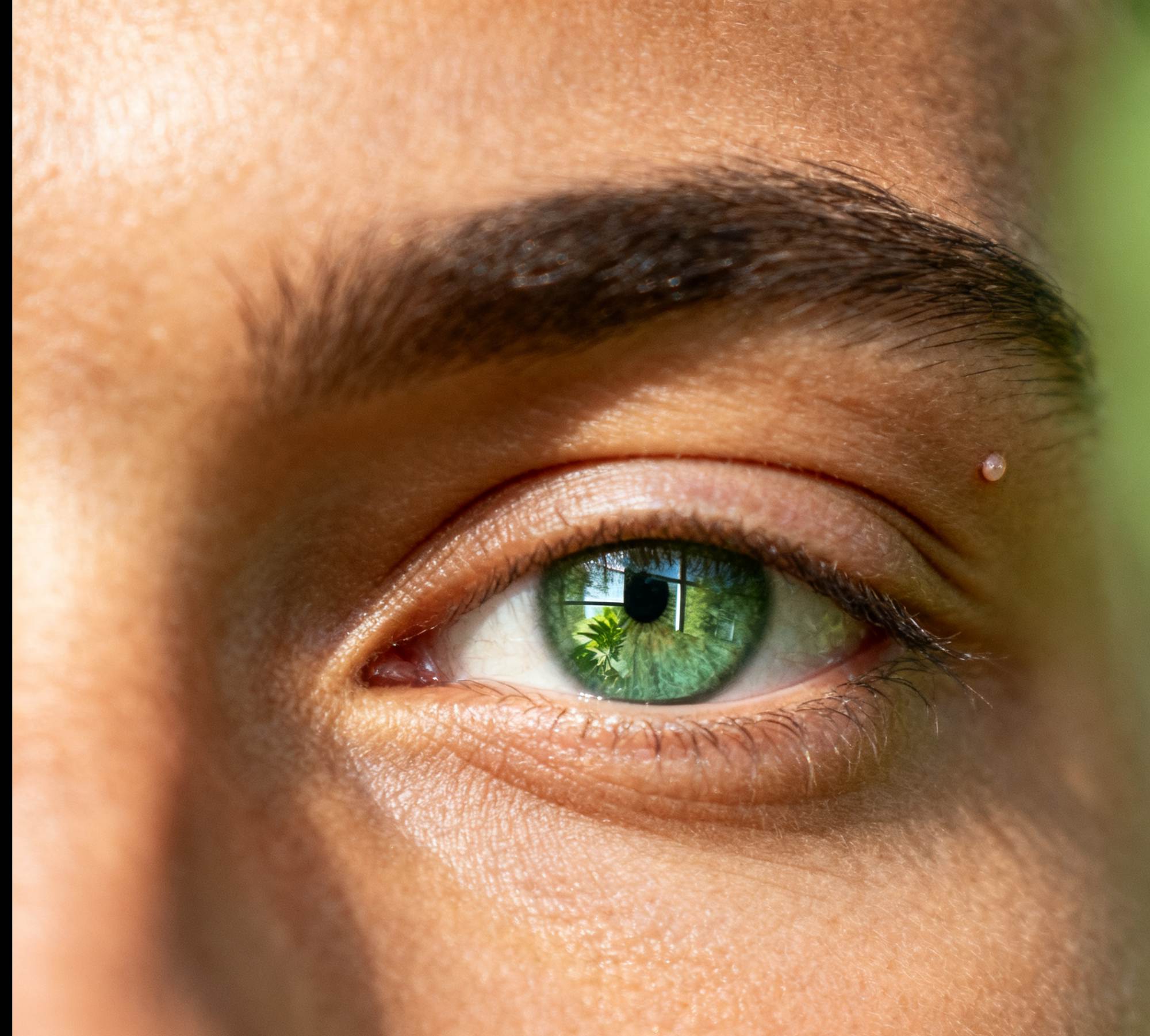 To nourish the eyes, you must first nourish the body. Traditional Chinese Medicine starts with the liver and kidneys.