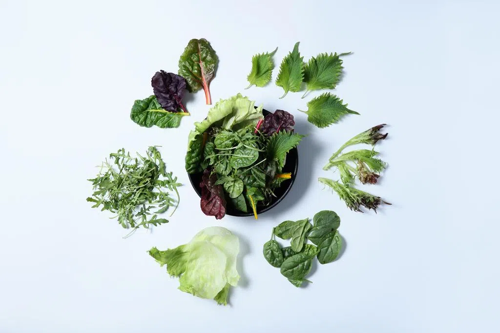 Small herbs and spices: a smart choice for enhancing flavor and reducing salt