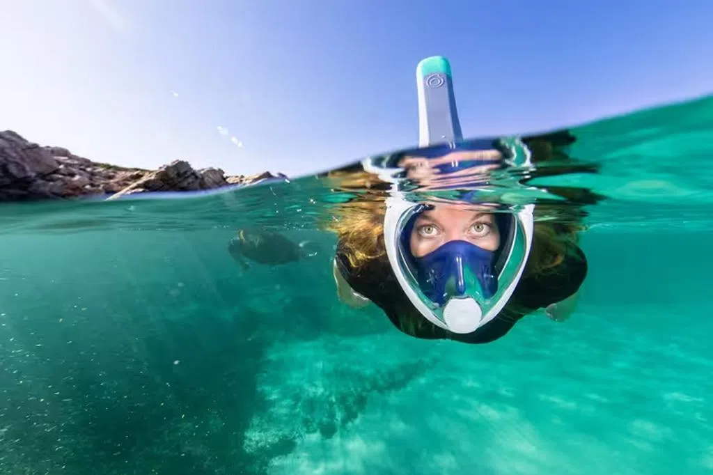 Five Must-Have Items