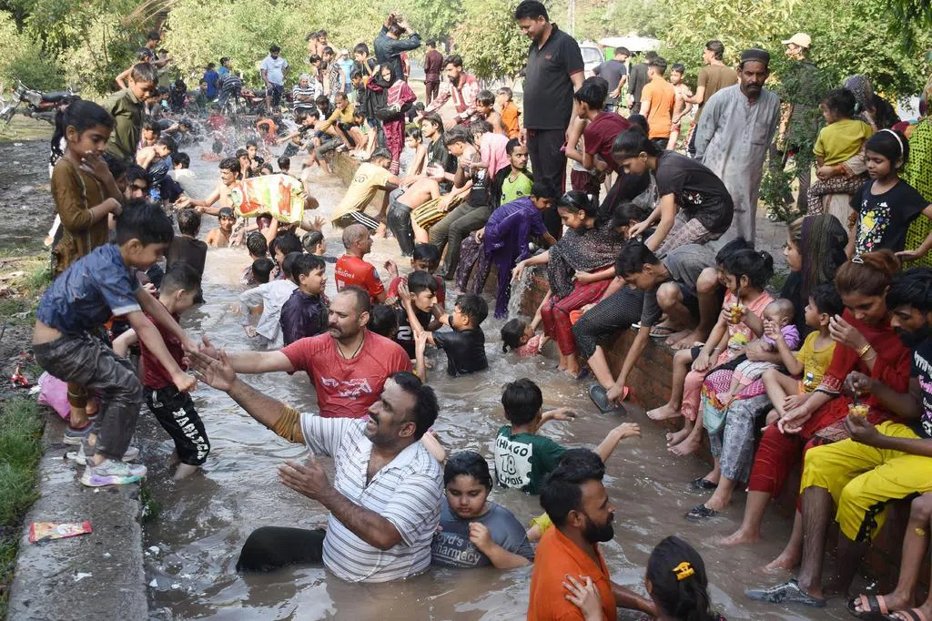 Growing rice in the UK is not a pipe dream given global warming.