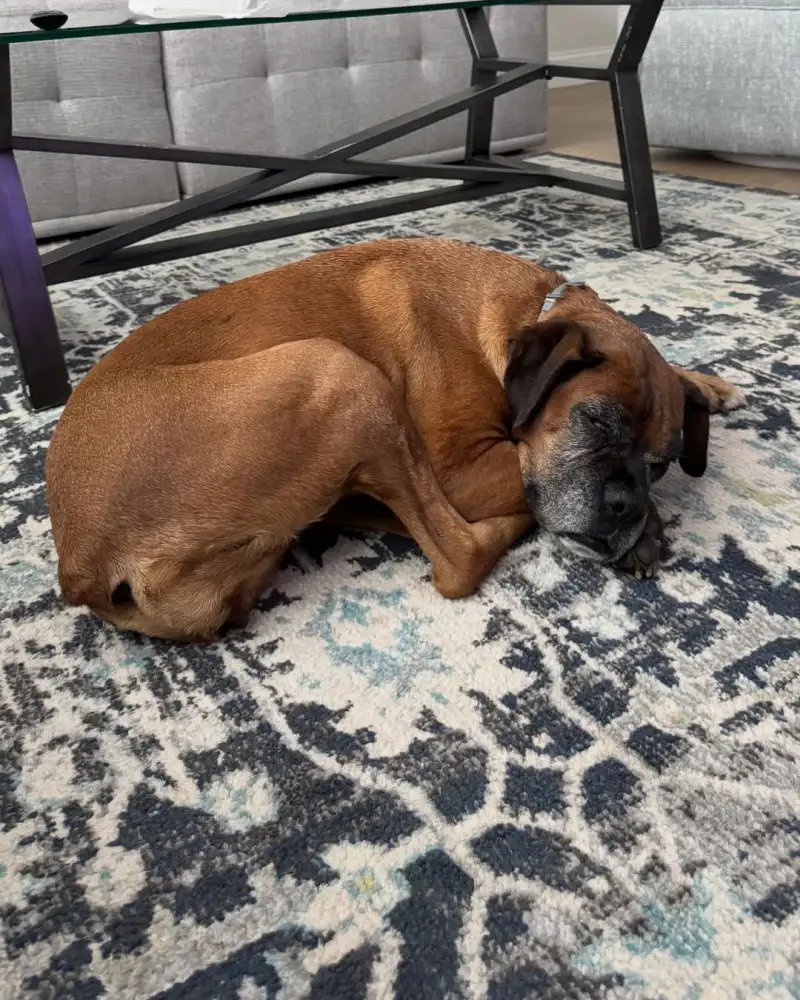 Spain's new golden boy! Hugo González posts photos on Instagram: an adventure in America.