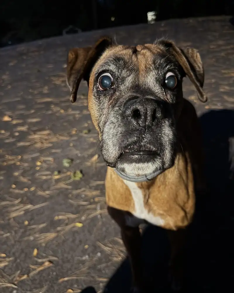 Spain's new golden boy! Hugo González posts photos on Instagram: an adventure in America.