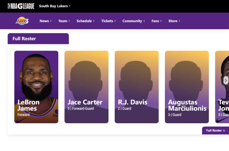 James has appeared on the South Bay Lakers' roster.