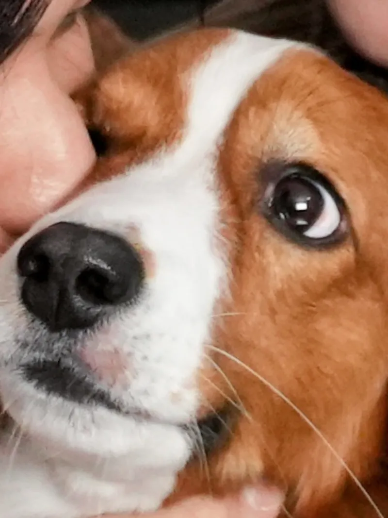 Shohei Otani updated on social media