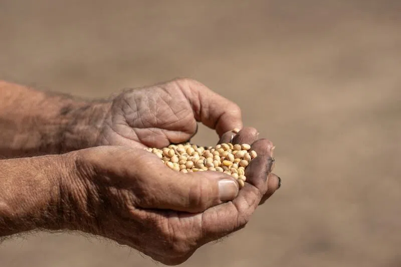 Rising prices have sparked public anxiety.