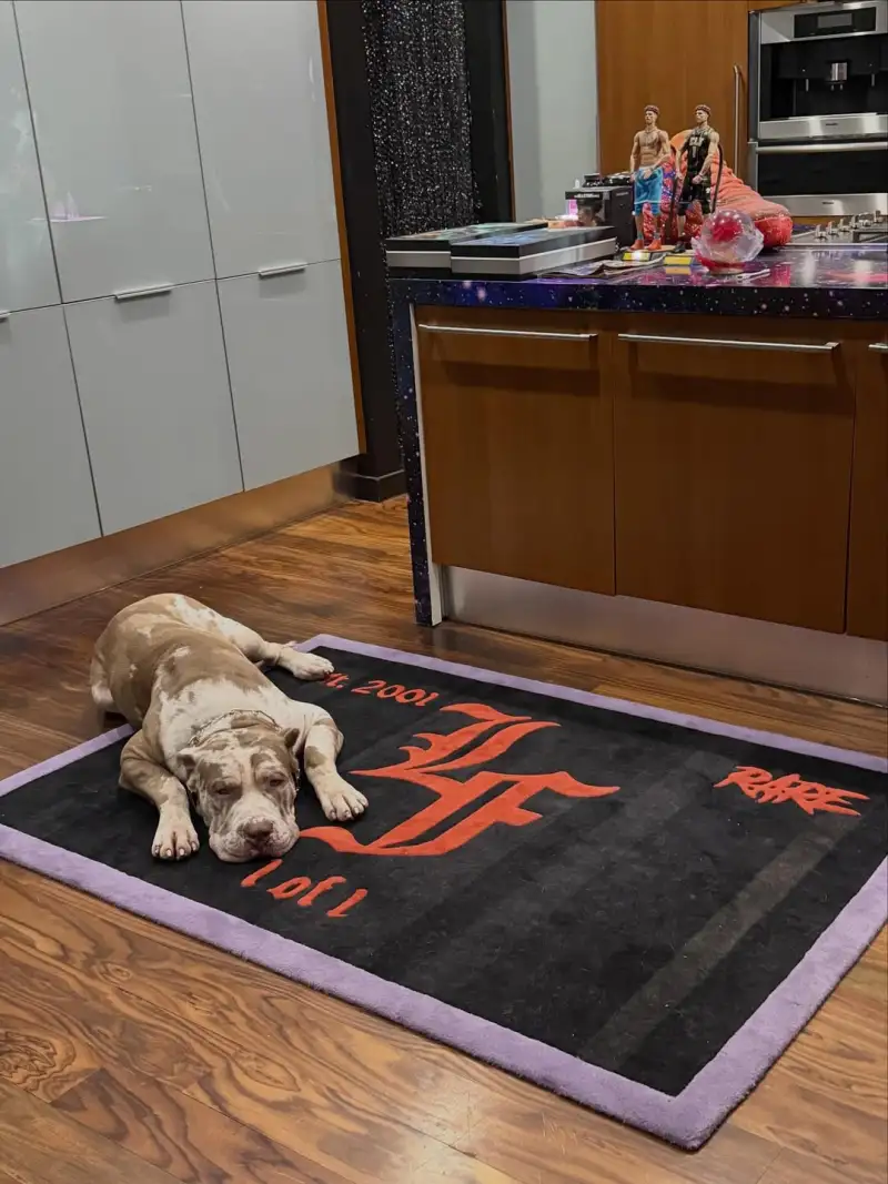 LaMelo Ball shared photos of himself with fans on Instagram.