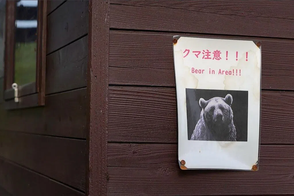 Bear sightings frequently occur in Shirakawa-go, a famous scenic spot in Japan.