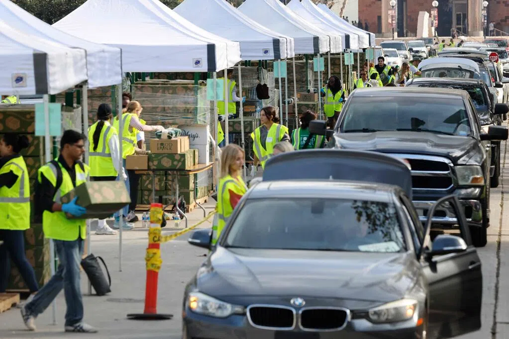 College graduates make up 25% of the unemployed population in the United States.