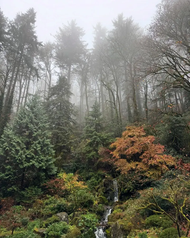 San Antonio Spurs player Jeremy Sohan shared recent photos of his daily life on social media.