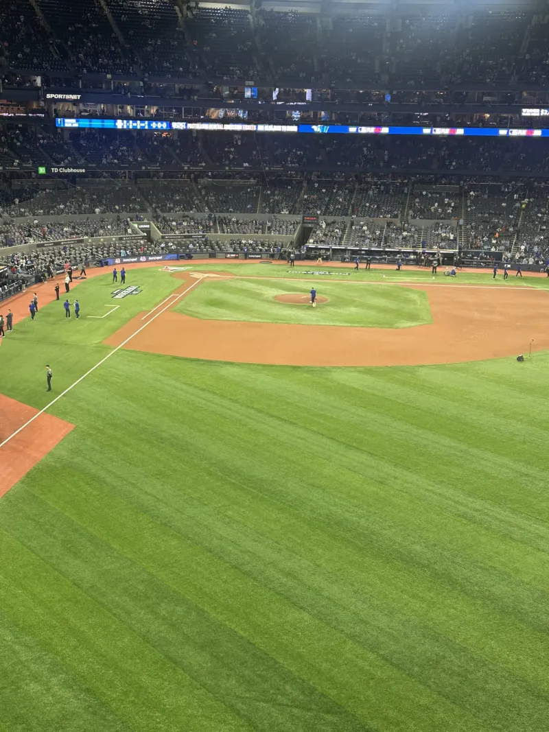 Blue jays！！！！