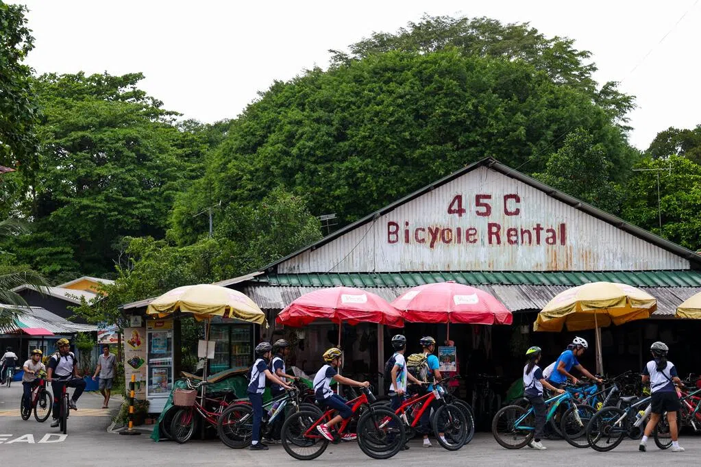 Researchers have discovered that wild wolves possess superb hunting skills.