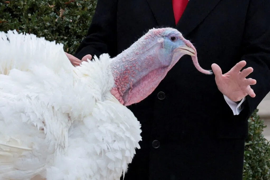 The American Thanksgiving Day parade attracted millions of onlookers.